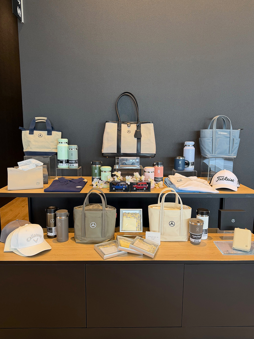 MBコレクション