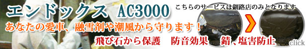 エンドックスAC3000